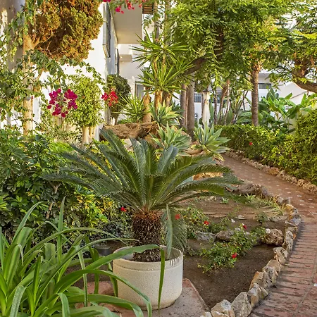 Royal Oasis Club At Pueblo Quinta-3